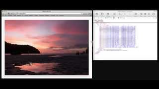 Elixir Update