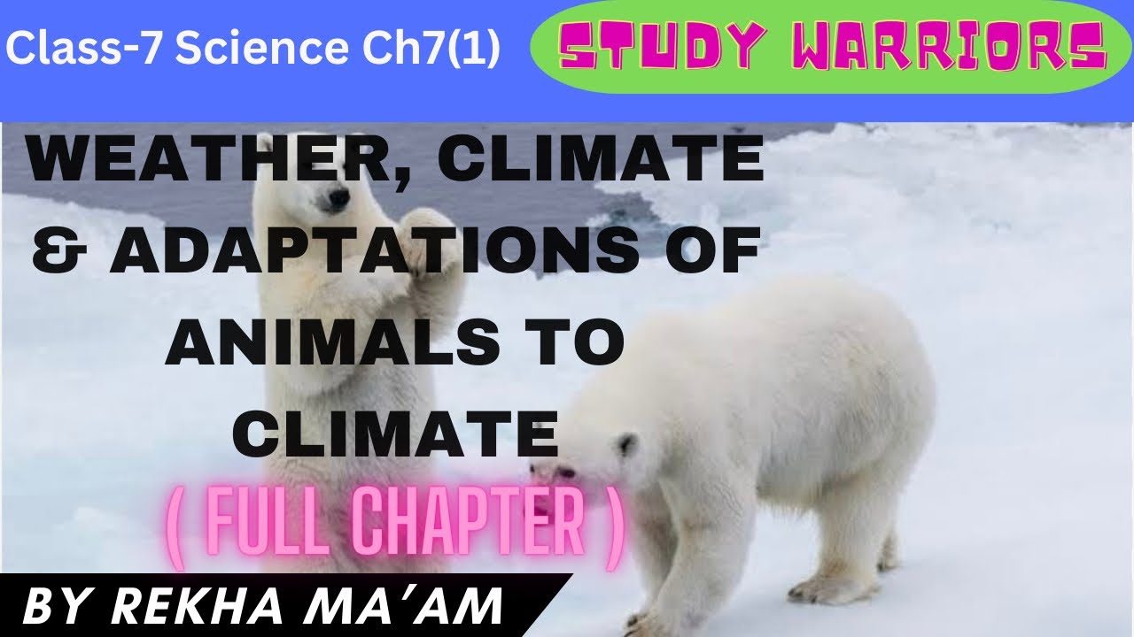 weather-climate-and-adaptation-of-animals-to-climate-ncert-cbse