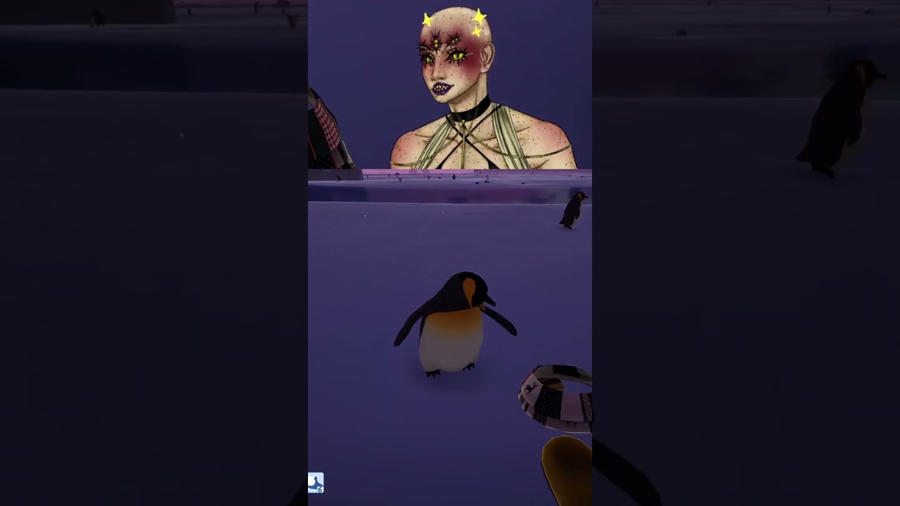 vestindo pinguinzinhos  