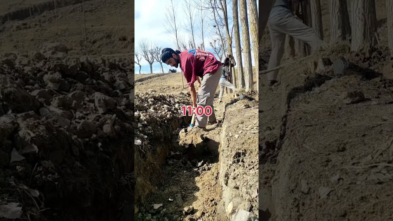 Hard Day: Digging Water Channels in my Apple Orchard#Farming#VillageLife #HardWork#DailyVlog #shaer 