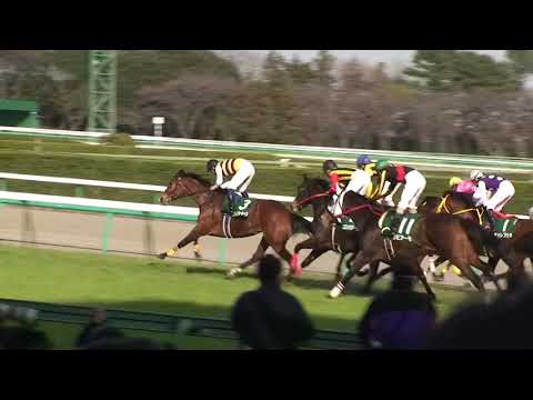 中山牝馬ステークス  1着ニシノブルームーン号 (北村宏司騎手)  (個人撮影)  2010年3月14日(日) 中山競馬場