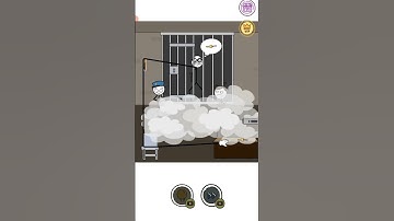 Thief Puzzle Level 250 Answer and Walkthrough