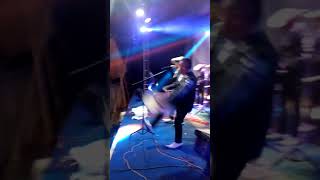 El proyecto de México el.rey de tierra fría