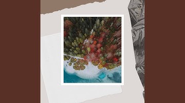 Dashing Backdrops for December Mornings