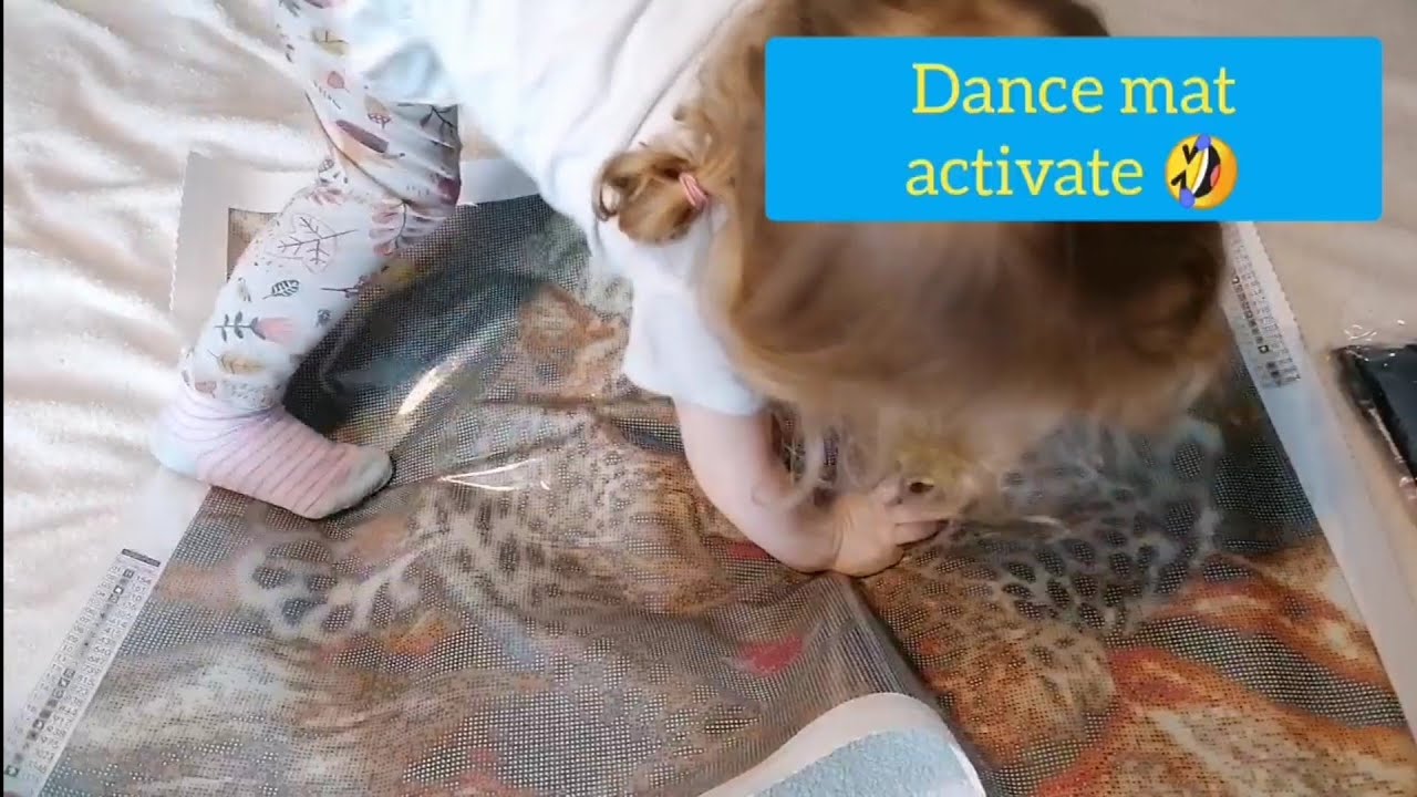 Unboxing Diamond Art Studio UK Snarling Jaguar round vs squares