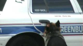 Smartest Police Dog Ever!