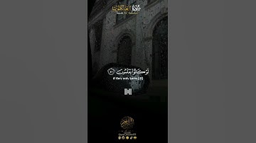 تلاوة خاشعة للقارئ وديع اليمني (وَإِنَّ أَوْهَنَ ٱلْبُيُوتِ لَبَيْتُ ٱلْعَنكَبُوتِ ۖ )🌷