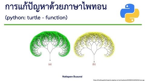 เขียนโปรแกรมภาษา python ตอนที่ 2 python turtle function