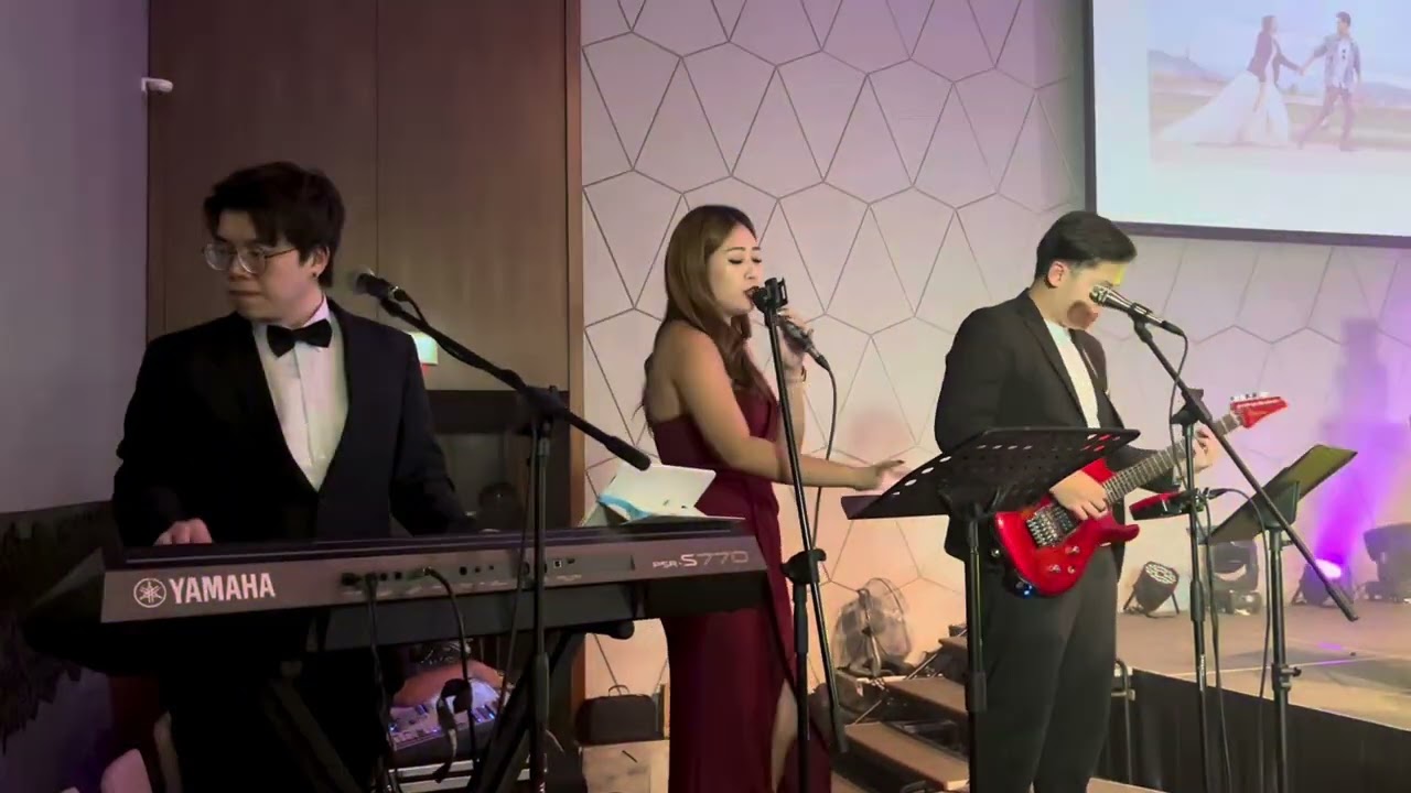 2024 Wedding live band 3pcs band