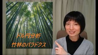 【ドル円分析】160円と竹林のパラドックス
