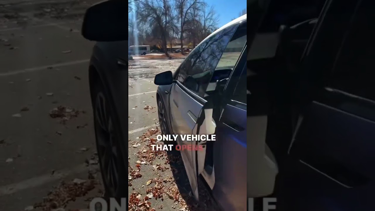 These Model X features make the car unique 😌