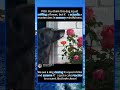 I Watched a Dog Smell a Flower… The Truth is WILD 🐶🌸#foryou #fyp #animals #funny