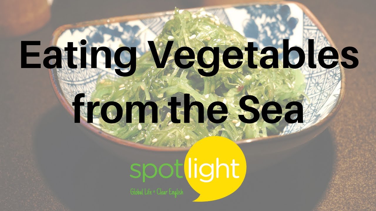 Eating Vegetables from the Sea practice English with Spotlight YouTube