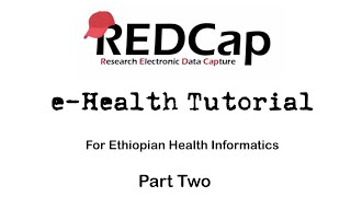 Part Two: General Overview of REDCap