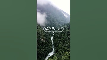ولا تحسبن الله غافلا عما يعمل الظالمون #اجر #اكسبلور #قرآن #قران #ياسر_الدوسري #سورة_إبراهيم