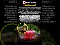 Este hongo sobrevive donde nada más puede #increíble #ciencia