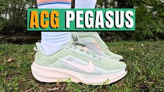 Best Road to Trail Shoe 2026? | Nike ACG Pegasus Trail Review (Unsponsored)