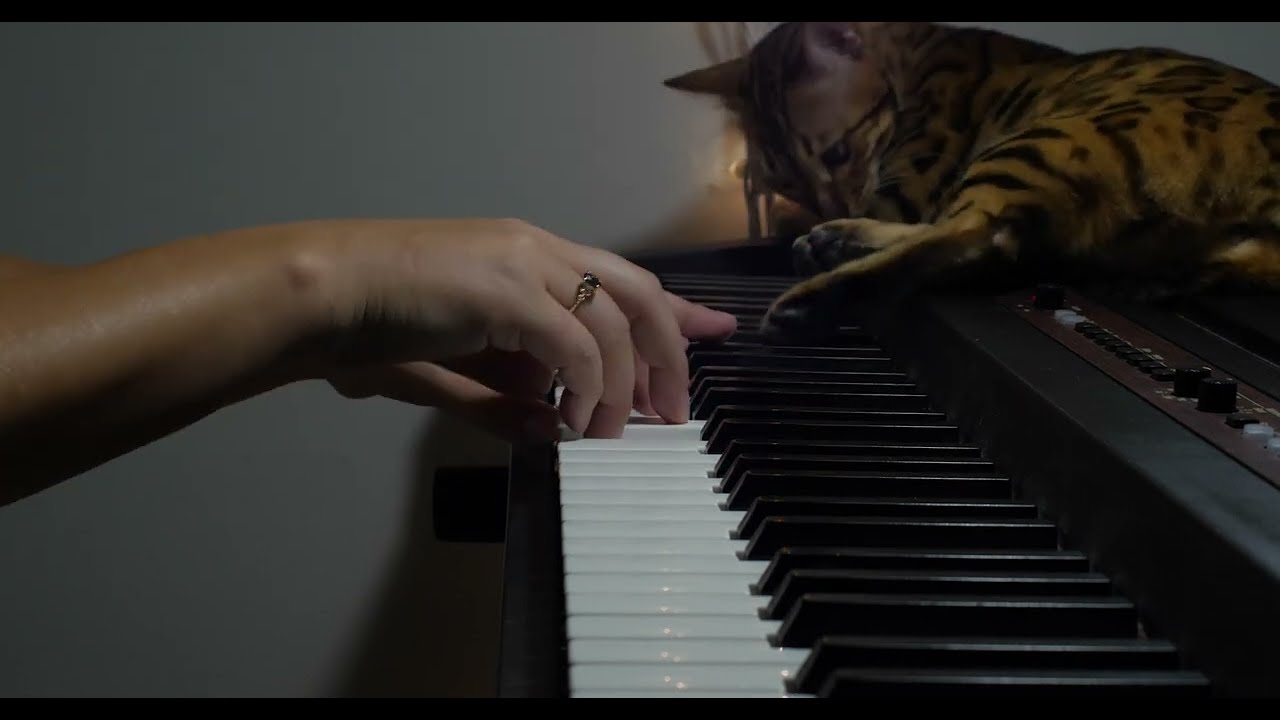 House Of The Dragon - An Impossible Choice (piano cover)