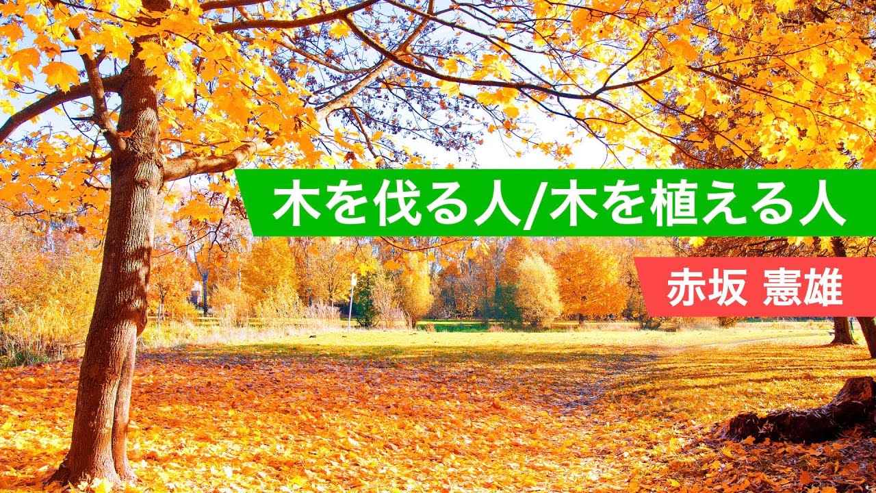 木を伐る人／木を植える人【高校現代文】