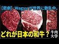 外国産「Wagyu」は何故広まった？海外のWagyu事情と日本和牛の違い