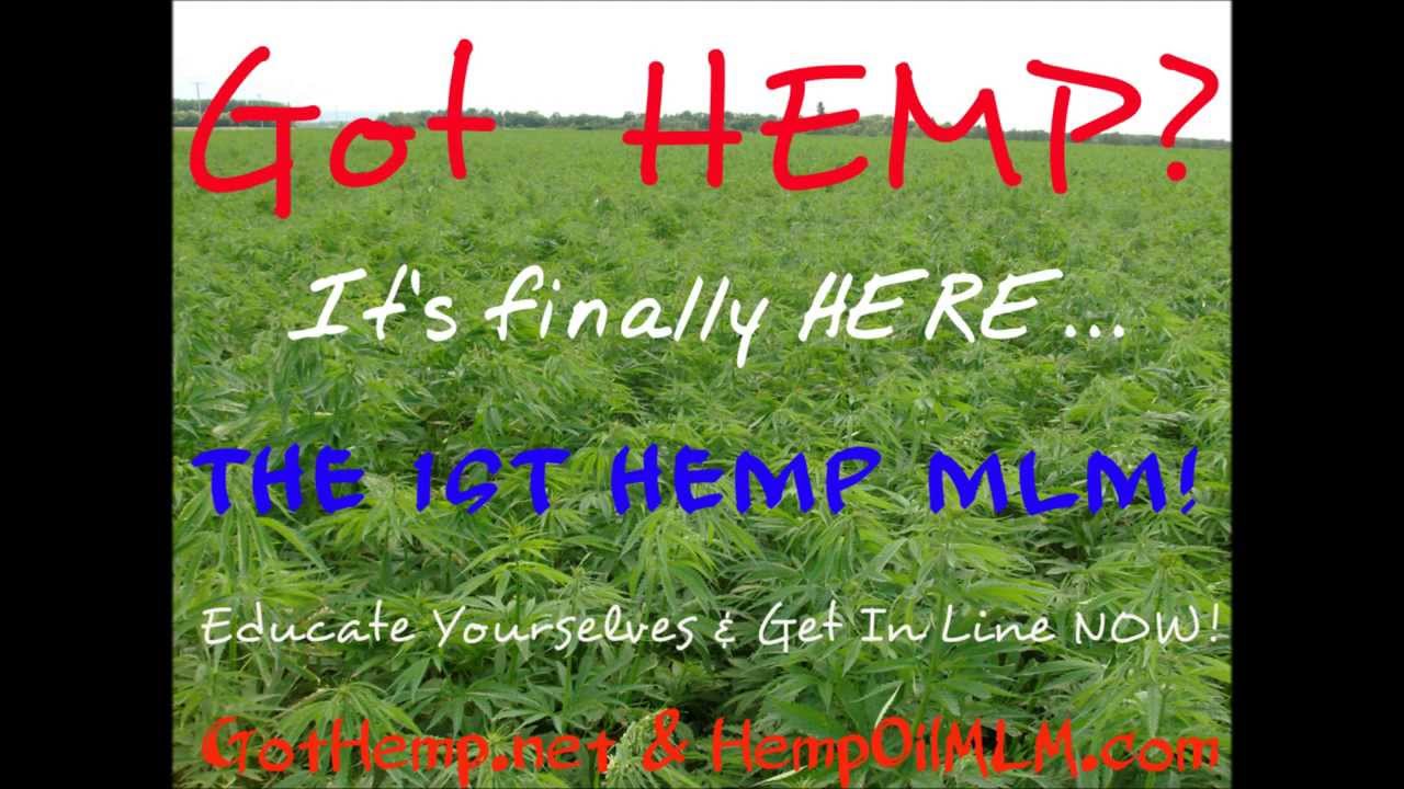Hemp Oil MLM Coming Soon! YouTube