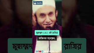 শবে বরাত সম্পর্কে মাওলানা তারিক জামিল দাঃবাঃ এর বক্তব্য ✔️ islamic_inspiring_talks Islamic_speech