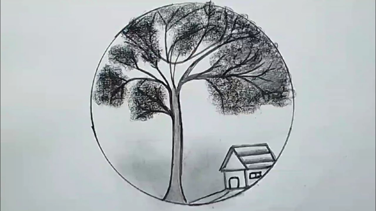 How to Draw Beautiful Pine Tree | Easy tree drawing step by step - YouTube