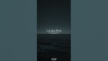 وما توفيقي إلا بالله عليه توكلت وإليه أنيب || بصوت الشيخ د.#ماهر_المعيقلي • #سورة_هود