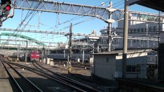 【JR】回9732レ EF81-137+24系6B「リバイバル寝台特急ゆうづる号送り込み回送」 大宮