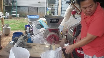 Zom Pob kws  puv qaib