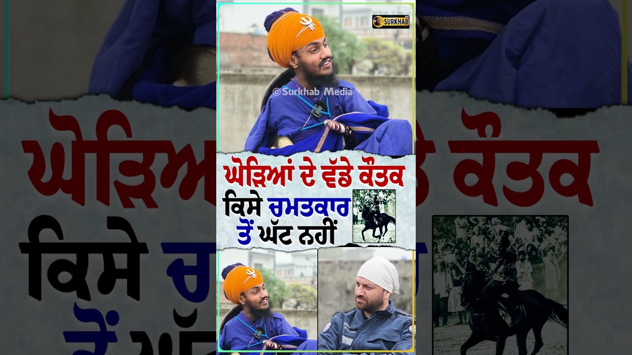 ⁣ਘੋੜਿਆਂ ਦੇ ਵੱਡੇ ਕੌਤਕ ਕਿਸੇ ਚਮਤਕਾਰ ਤੋਂ ਘੱਟ ਨਹੀਂ