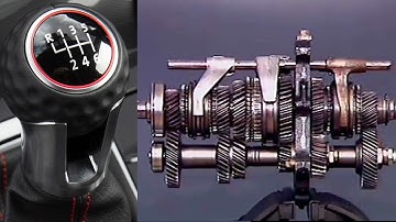 Nguyên tắc hoạt động của hộp số sàn - vai trò của bộ đồng tốc | Lucky Luan