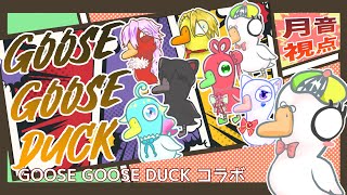 【Vtuberコラボ企画🎮】あひる再び！Goose Goose Duck コラボ（月音視点） #goosegooseduck  #つきのおと #新人Vtuber