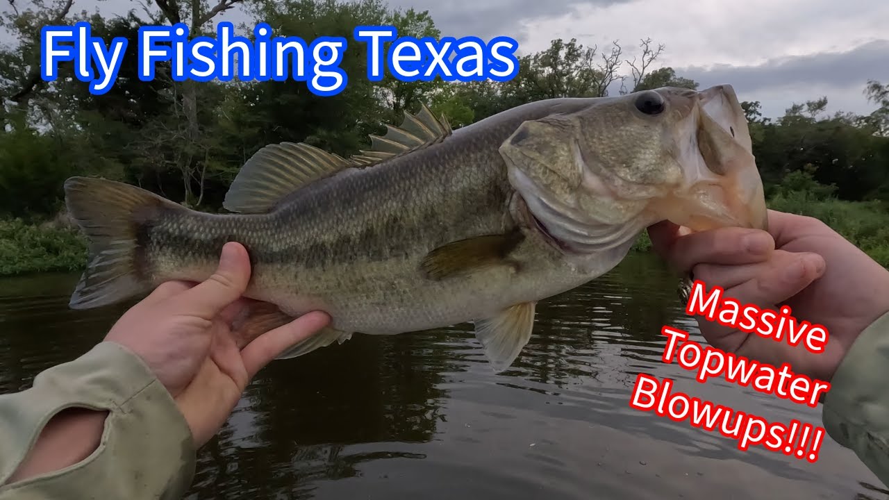 MASSIVE TOPWATER BLOWUPS!!!!!!! Fly Fishing Texas for Largemouth Bass