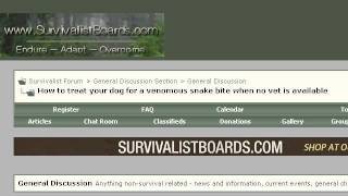 How-To Treat Snake Bites In Dogs