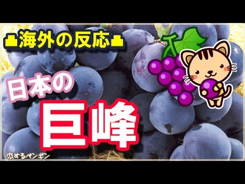 日本びいきの外国人ほっこり和む話!