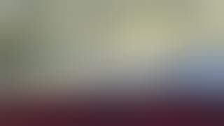 ANJING KEJAR BABI NYA BERENANG