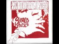 Guided By Voices - When She Turns 50