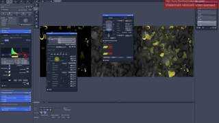 6. z-stack. Scanning parameters for 3D reconstruction