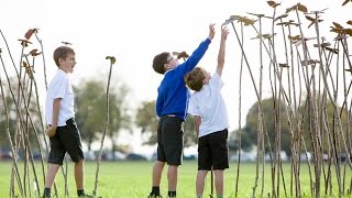 Bristol 2015 Neighbourhood Arts Programme overview