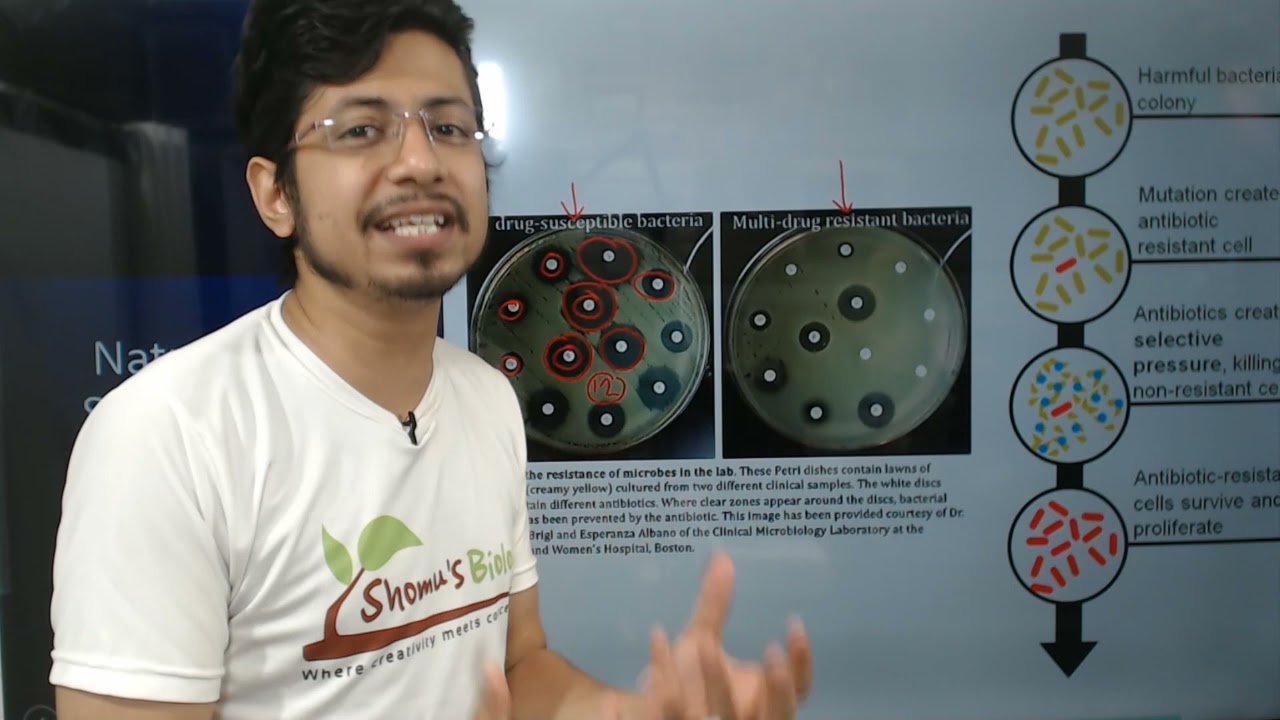 Natural Selection | Antibiotic resistance as natural selection example
