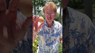 Will It Sink Or Float? Jack Hartmann