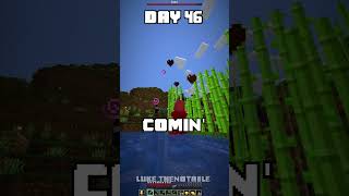 100 Days - [Minecraft Shorts] - Day 46 and 47 #minecraft #100days @LukeTheNotable