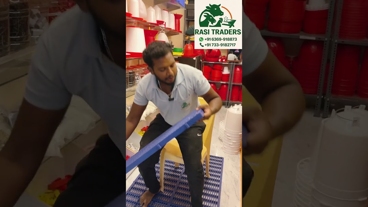 🐶 Best Dog Plastic Mat for Daily Use!