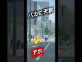 チャリカス→天罰当たるw #ドラレコ #automobile #事故 #運行 #喧嘩 #天罰 #信号無視