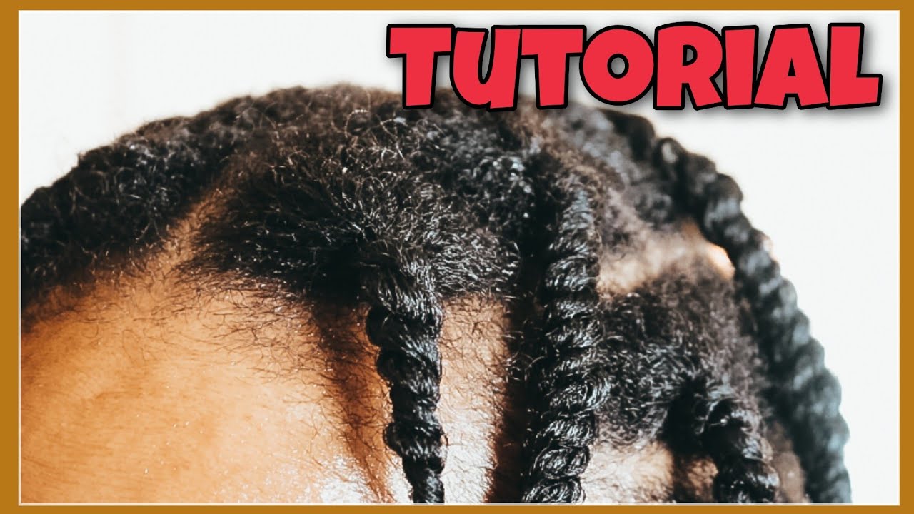 TWO STRAND TWIST PROTECTIVE STYLE FOR THIN NATURAL HAIR (Tutorial