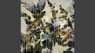 Ich streichle Tauben