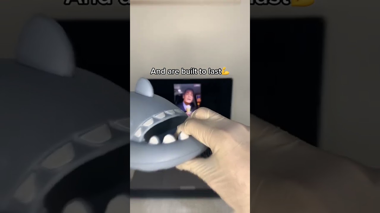 The Best Cheapest Shark Slides