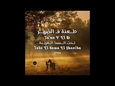 طعنة ف الضهر