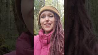 ✨️ Let Music Help You 💜🎶✨️ #angelmessages #healingmusic #message #authenticity #songwriter #music